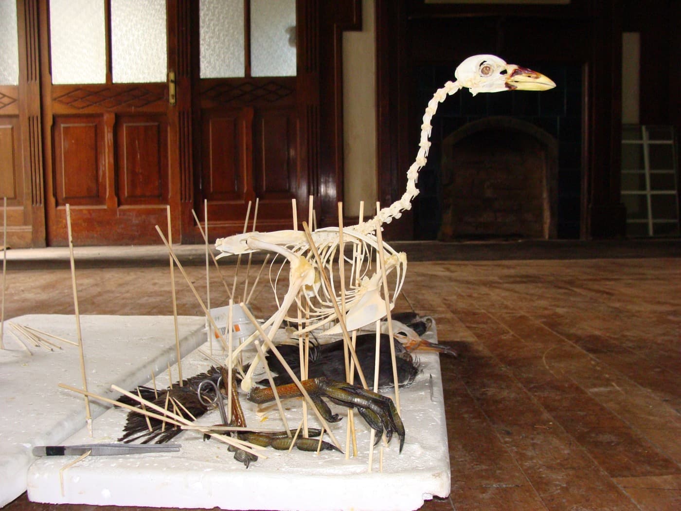 El-Museo-4