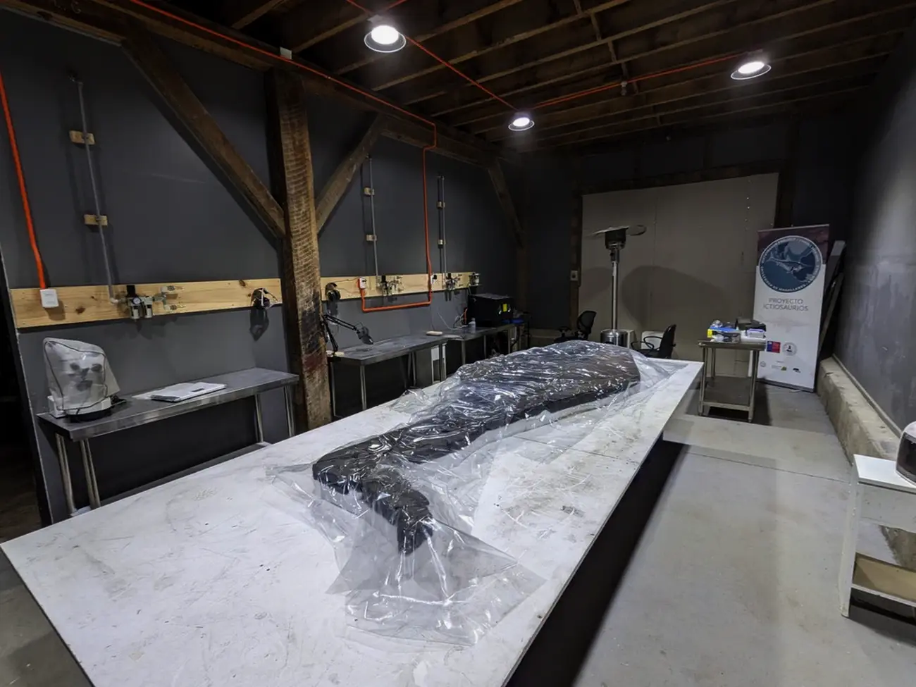 MHNRS-laboratorio-paleontologico_10