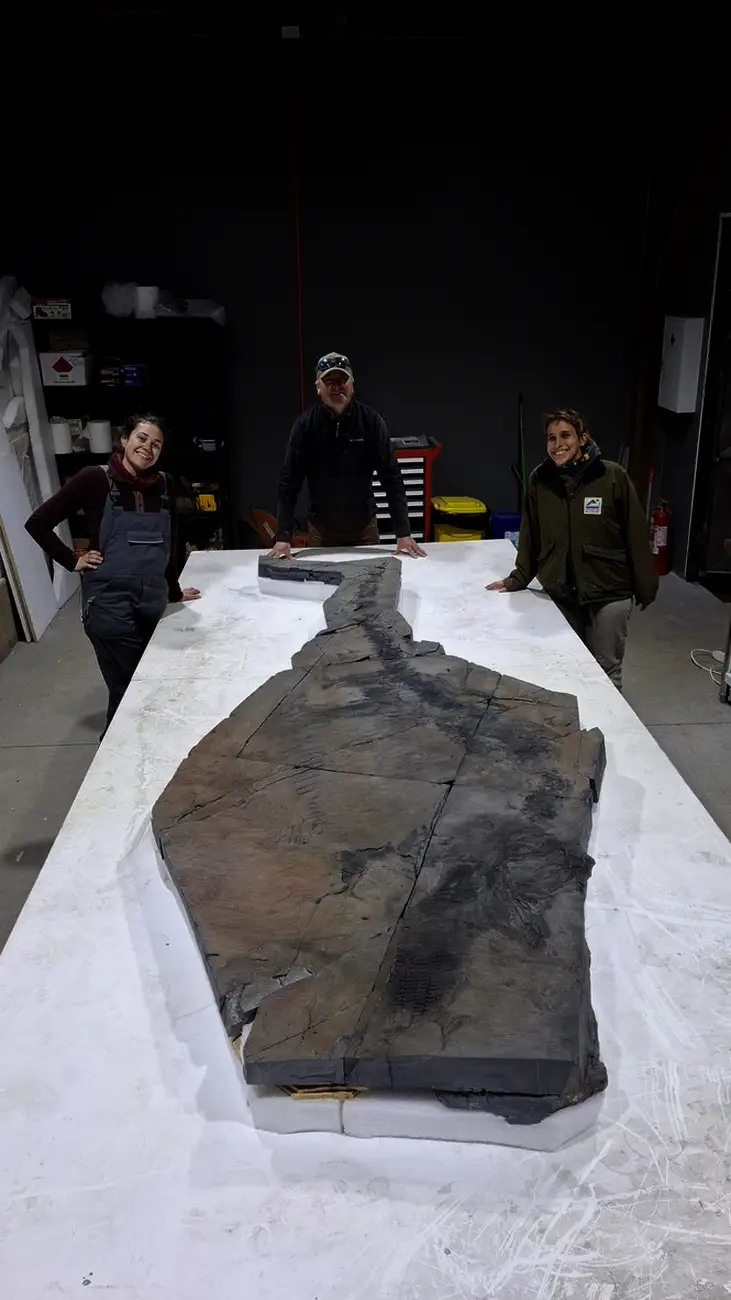 MHNRS-laboratorio-paleontologico_14