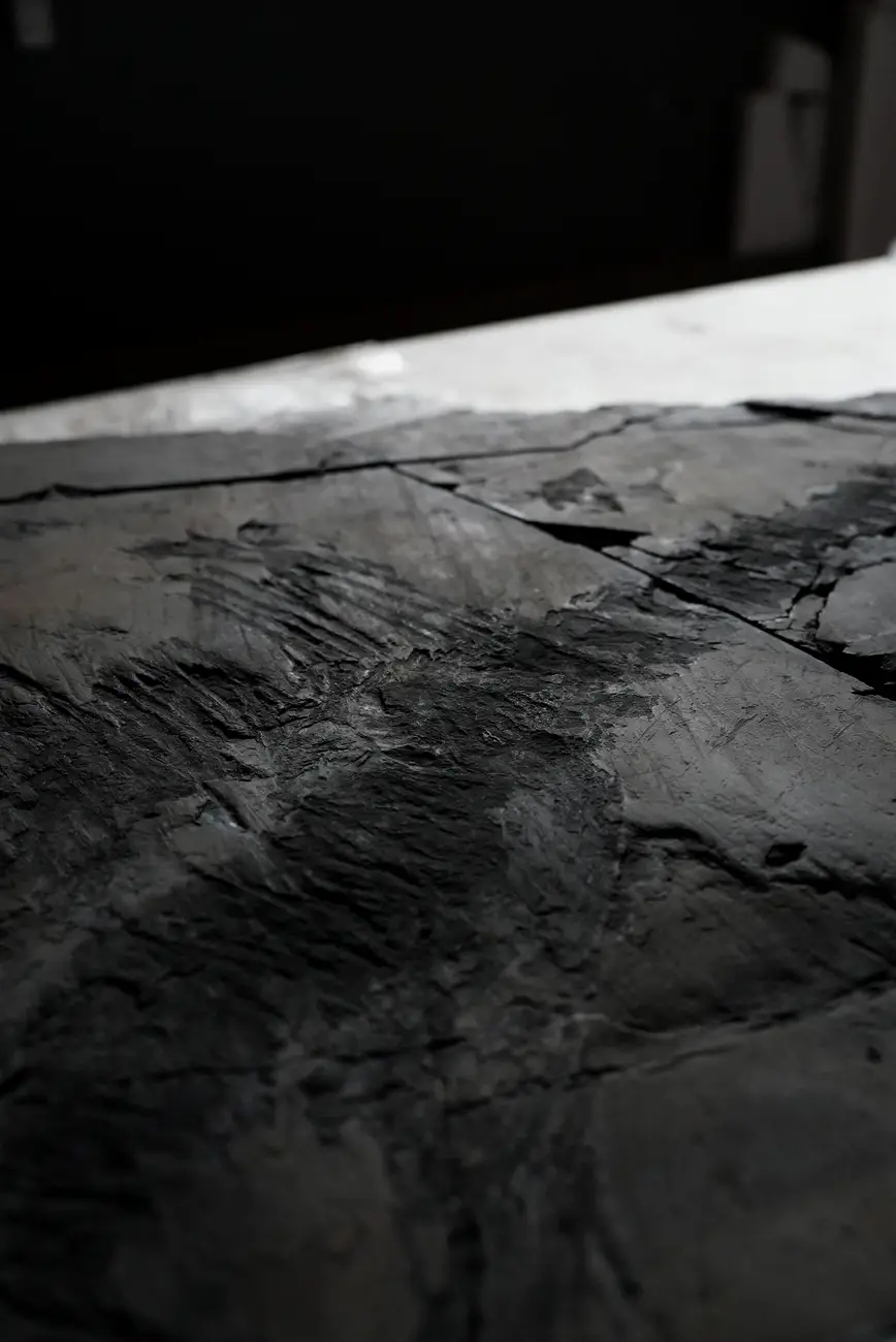 MHNRS-laboratorio-paleontologico_15