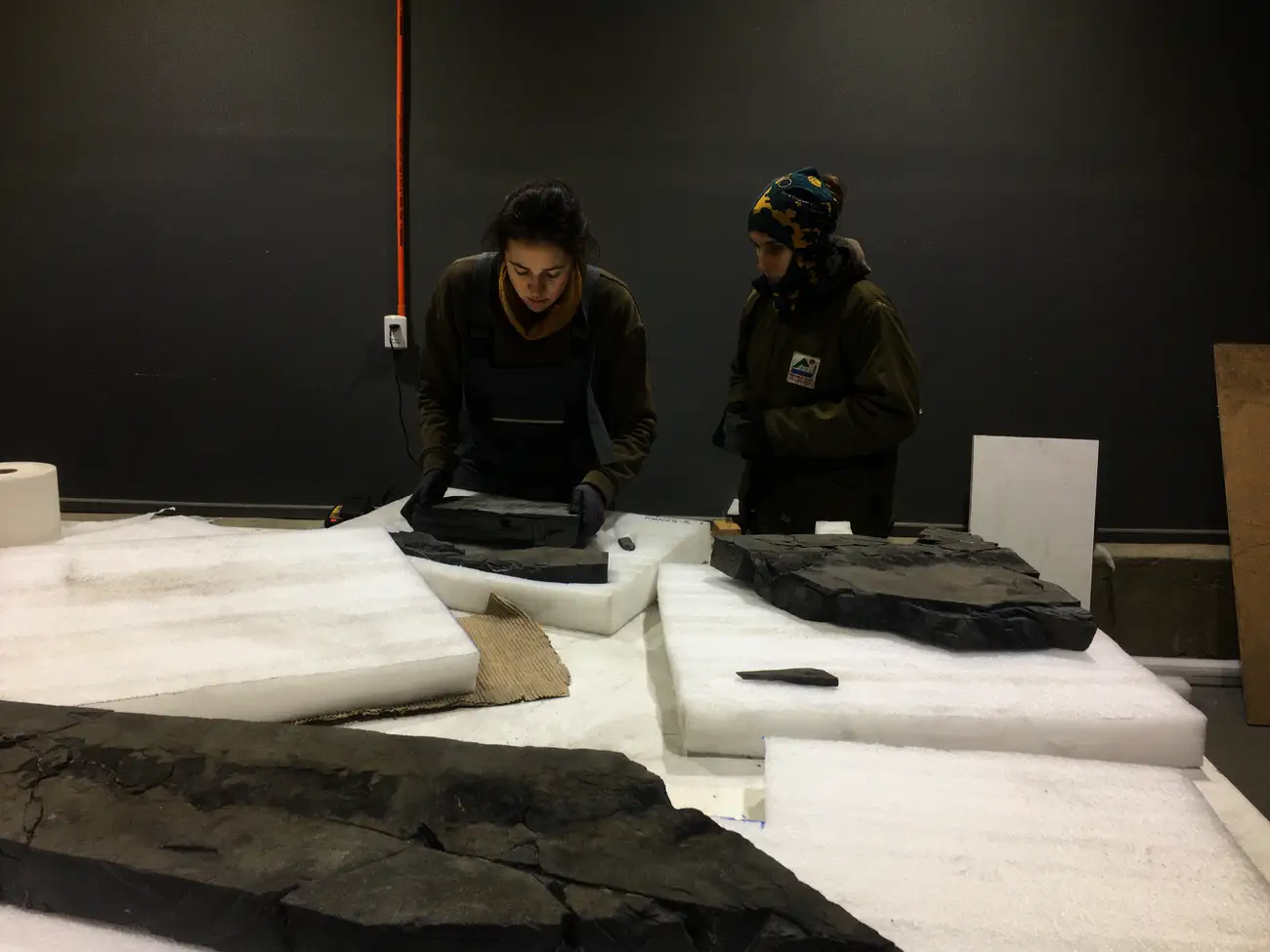 MHNRS-laboratorio-paleontologico_18