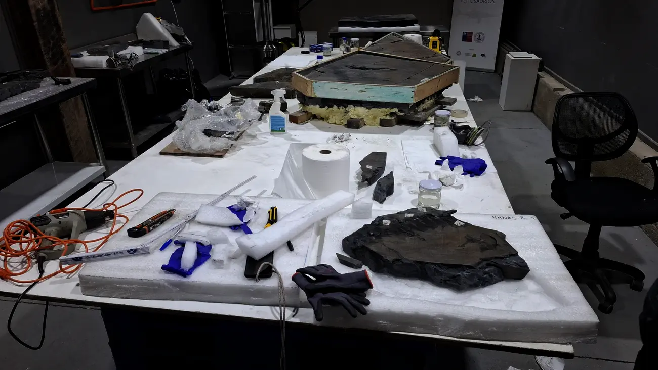 MHNRS-laboratorio-paleontologico_3