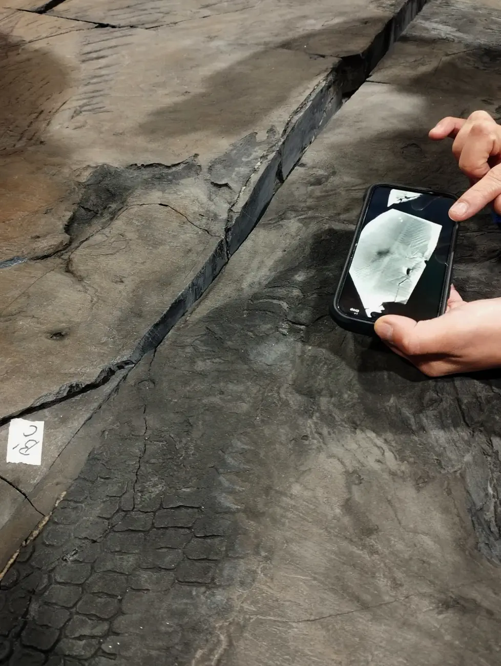 MHNRS-laboratorio-paleontologico_4