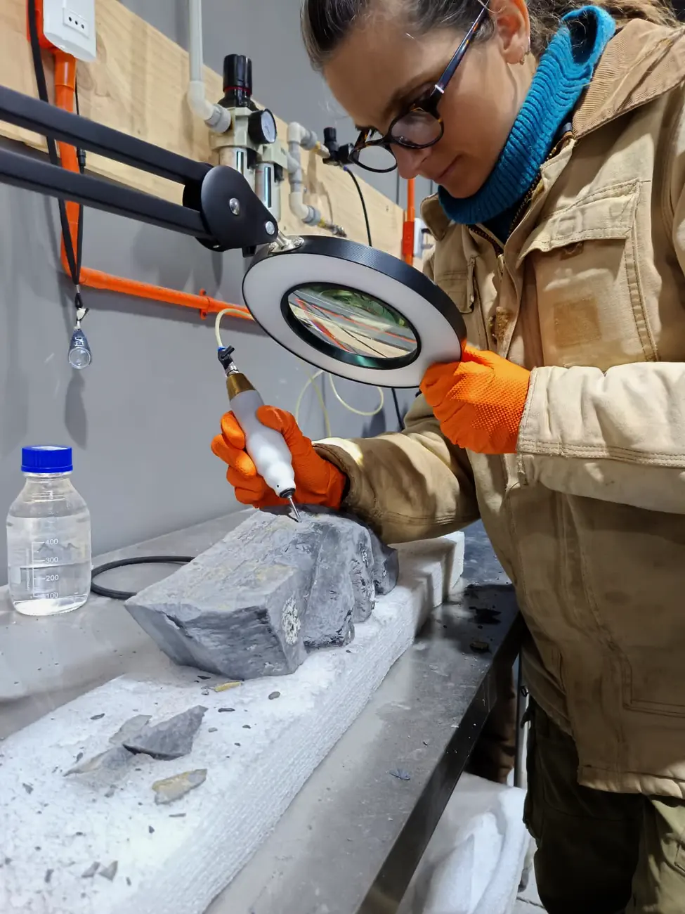 MHNRS-laboratorio-paleontologico_5