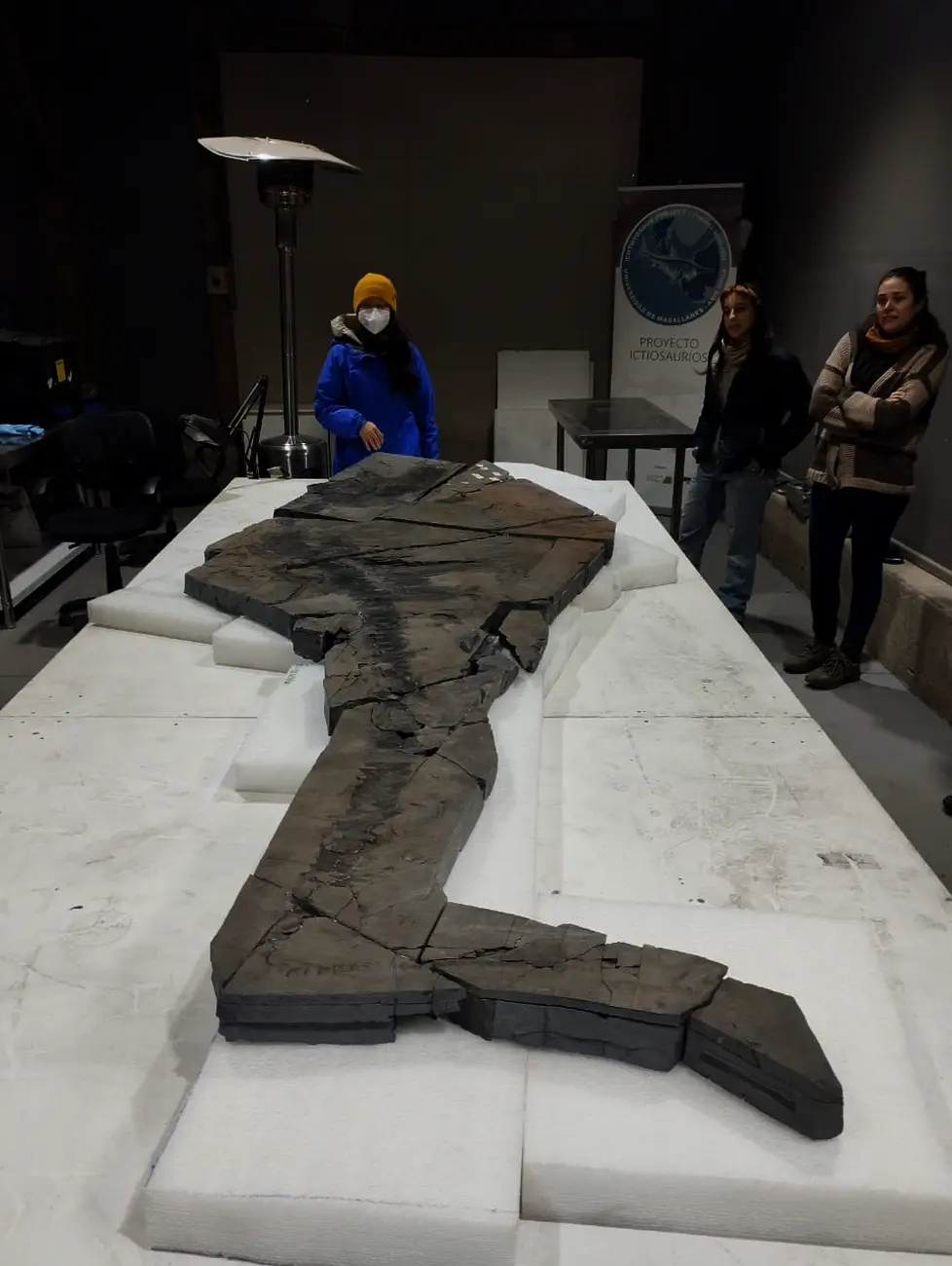 MHNRS-laboratorio-paleontologico_8