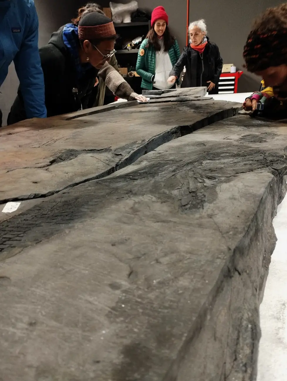 MHNRS-laboratorio-paleontologico_9